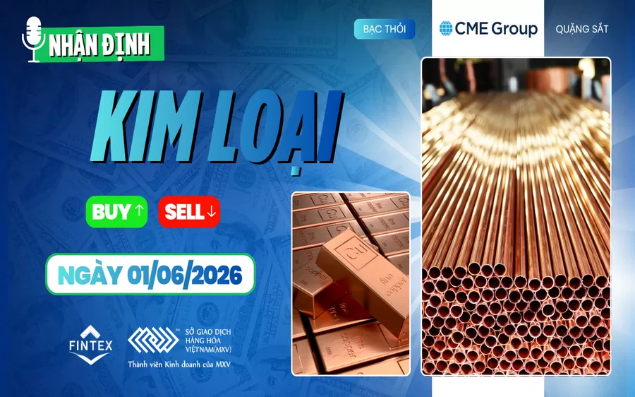 NHẬN ĐỊNH THỊ TRƯỜNG KIM LOẠI NGÀY 01/06/2026